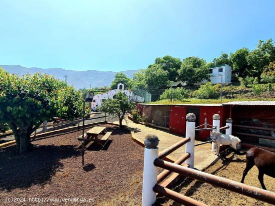 Se Vende en La Orotava - SANTA CRUZ DE TENERIFE