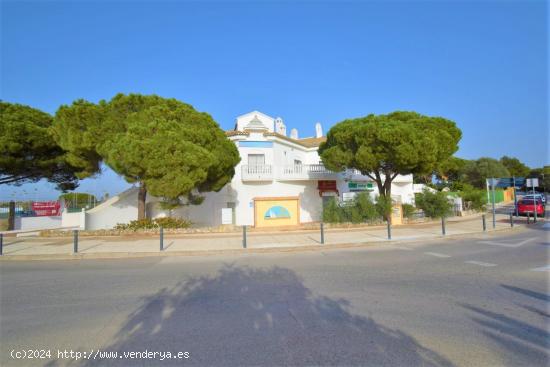  LOCALES EN ALQUILER EN LA BARROSA (141 M2 ESQUINA - 239 M2) - CADIZ 