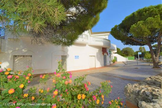 LOCALES EN ALQUILER EN LA BARROSA (141 M2 ESQUINA - 239 M2) - CADIZ