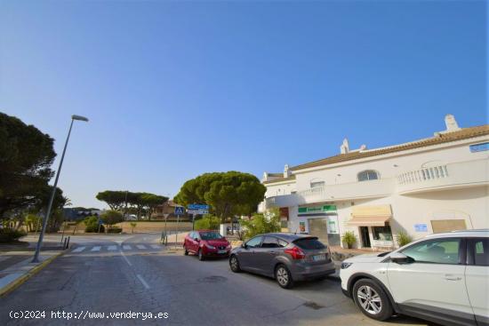 LOCALES EN ALQUILER EN LA BARROSA (141 M2 ESQUINA - 239 M2) - CADIZ