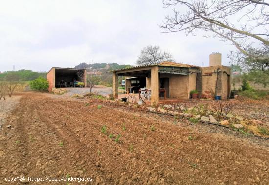 GRAN FINCA RÚSTICA EN REUS CON PLANTACIÓN DE AVELLANOS - TARRAGONA