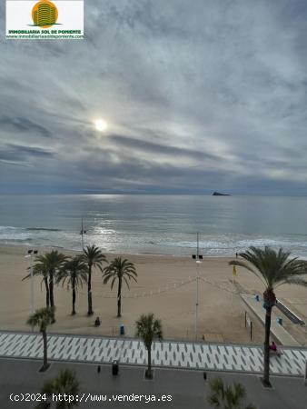 PISO DE 3 DORMITORIOS EN 1 LINEA DE PLAYA DE LEVANTE EN BENIDORM !!! - ALICANTE