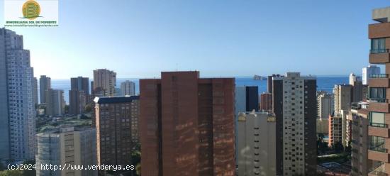 Ático con vistas panorámicas a en Benidorm - ALICANTE