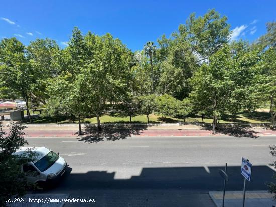 GRAN VIVIENDA EN PLENO CENTRO JUNTO AL CORTE INGLES - CORDOBA