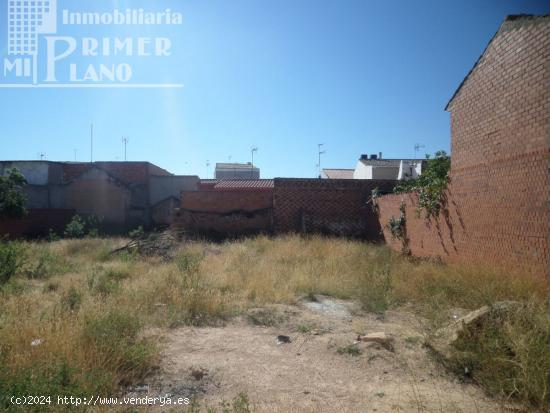 Se Vende en Argamasilla de Alba - CIUDAD REAL