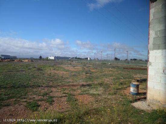 Se Vende en Tomelloso - CIUDAD REAL