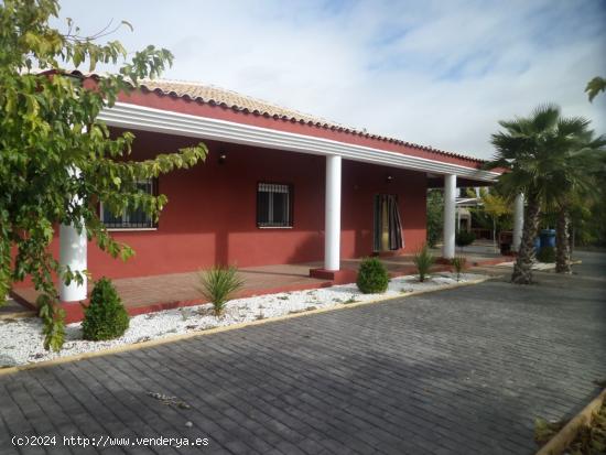 Se Vende en Argamasilla de Alba - CIUDAD REAL