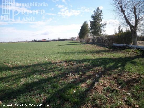 PARCELA DE 2517 M2 EN CARRETERA ALAVESA POR SOLO 26.000  - CIUDAD REAL