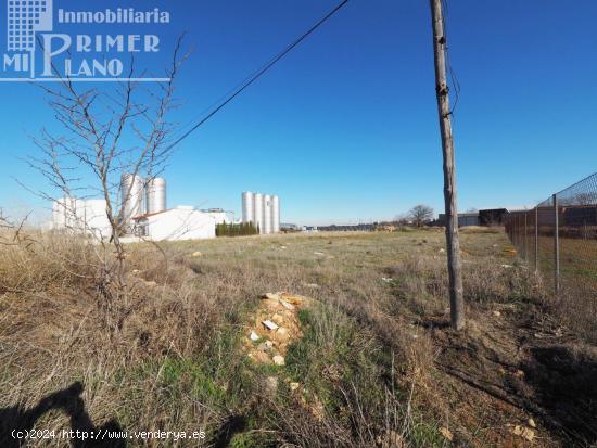 Solar junto a la Carretera de Argamasilla de Alba - CIUDAD REAL