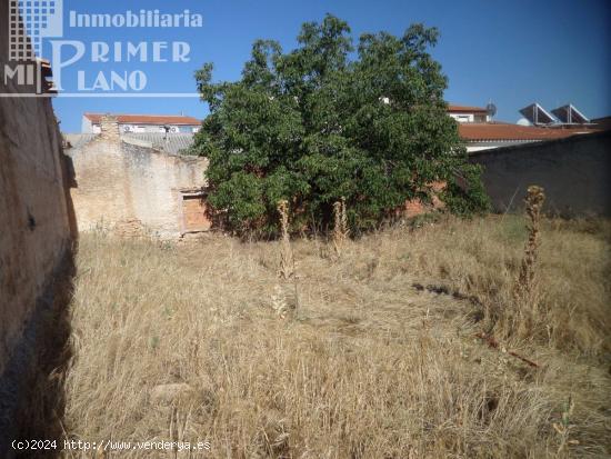 ¡¡GRAN OPORTUNIDAD DE COMPRA EN ARGAMASILLA DE ALBA!! - CIUDAD REAL