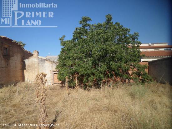 ¡¡GRAN OPORTUNIDAD DE COMPRA EN ARGAMASILLA DE ALBA!! - CIUDAD REAL