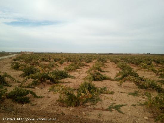  Se venden 7 fanegas de tierra de regadio de consorico junto a la hermita de San Isidro - CUENCA 