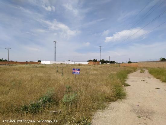 Se vende solar de 4242m2 en camino Santa Maria / Poligono 20 - CIUDAD REAL