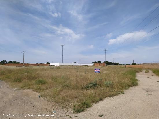 Se vende solar de 4242m2 en camino Santa Maria / Poligono 20 - CIUDAD REAL