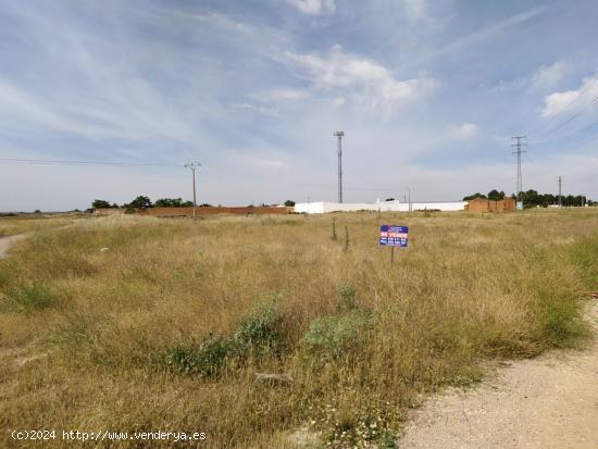 Se vende solar de 4242m2 en camino Santa Maria / Poligono 20 - CIUDAD REAL