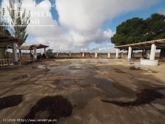 Se vende local destinado a Restaurante junto a la autovia de los Viñedos Tomelloso - CIUDAD REAL