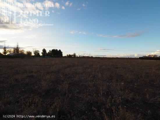 Se vende parcela con agua en la Alavesa con 2933 metros cuadrados - CIUDAD REAL