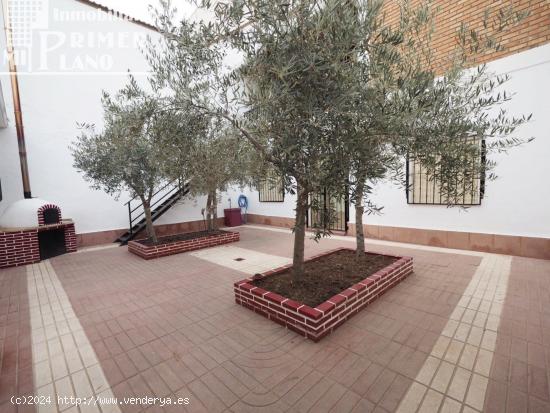 Se vende casa de 2 plantas en pleno centro de Tomelloso por solo 350.000 € - CIUDAD REAL