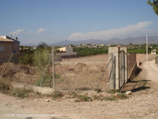 PARCELA  EN MAQUIVA - VALENCIA