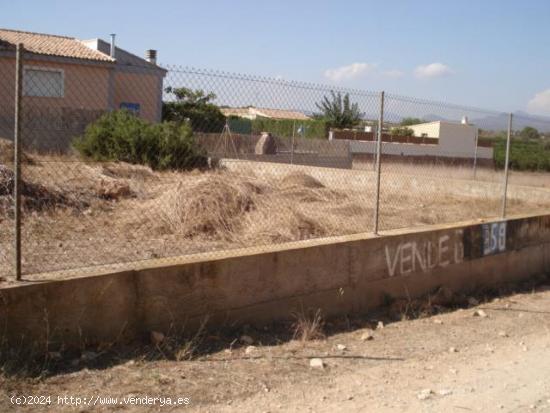 PARCELA  EN MAQUIVA - VALENCIA