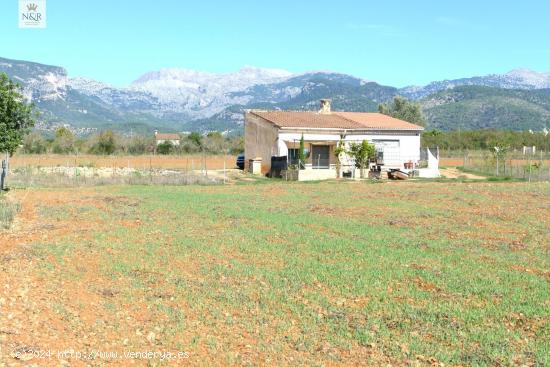 FINCA EDIFICABLE CON VISTAS A LA MONTAÑA EN BINISSALEM - BALEARES