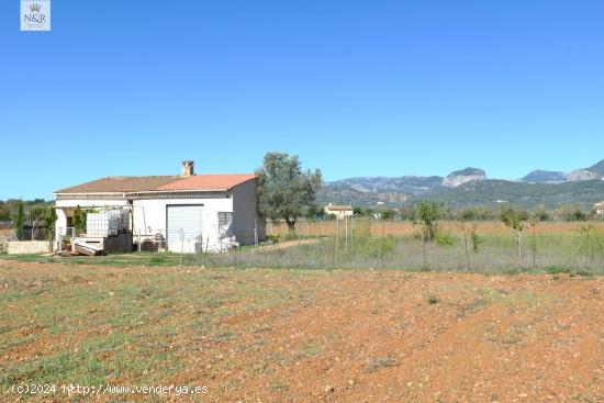 FINCA EDIFICABLE CON VISTAS A LA MONTAÑA EN BINISSALEM - BALEARES