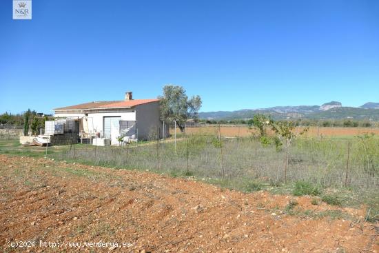 FINCA EDIFICABLE CON VISTAS A LA MONTAÑA EN BINISSALEM - BALEARES