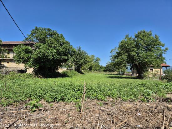 SE VENDE BONITA FINCA URBANA EN EL VALLE DE MENA - BURGOS