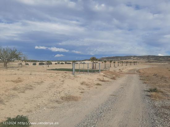 Parcela para construcción de viviendas en Las Canales - MURCIA