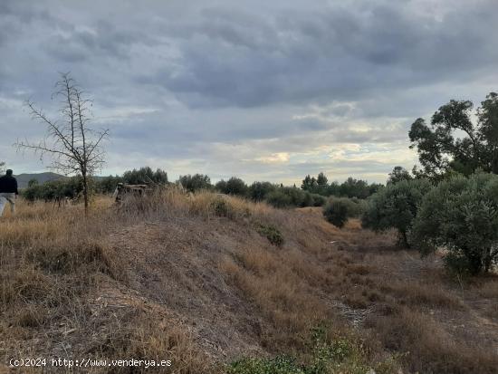 Parcela para construir vivienda unifamiliar con proyecto de obra, en Purias - MURCIA