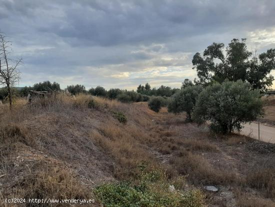 Parcela para construir vivienda unifamiliar con proyecto de obra, en Purias - MURCIA