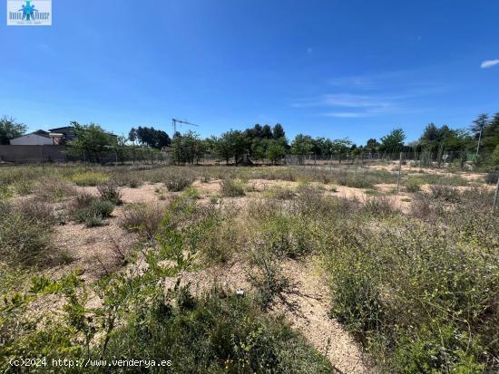 SE VENDE TERRENO URBANO - URBANIZACION LAS VIÑAS - ALBACETE