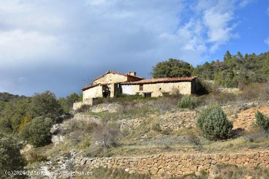  Finca rústica con dos masías a rehabilitar - TERUEL 