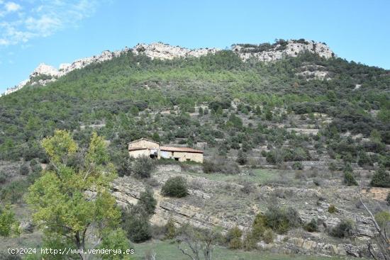 Finca rústica con dos masías a rehabilitar - TERUEL