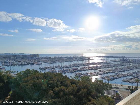 Se Alquila en Alicante - ALICANTE