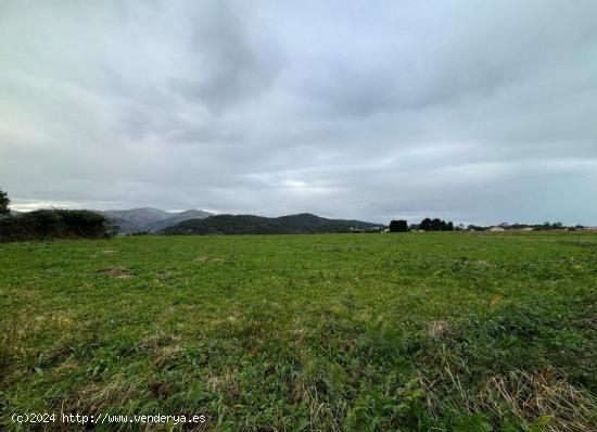  Terreno rustico - ASTURIAS 