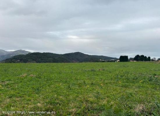 Terreno rustico - ASTURIAS