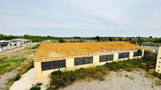 Finca rustica en Reus  con naves industriales - TARRAGONA