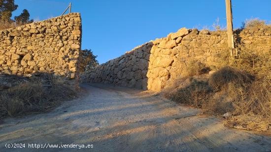 Finca rustica de 24.200 m2 con agua de mina + balsa - TARRAGONA