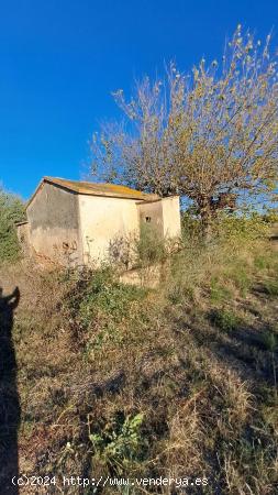  Finca rústica en Reus - TARRAGONA 