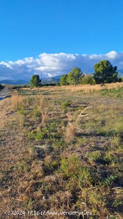 Finca rústica en Reus - TARRAGONA