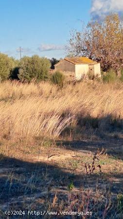 Finca rústica en Reus - TARRAGONA