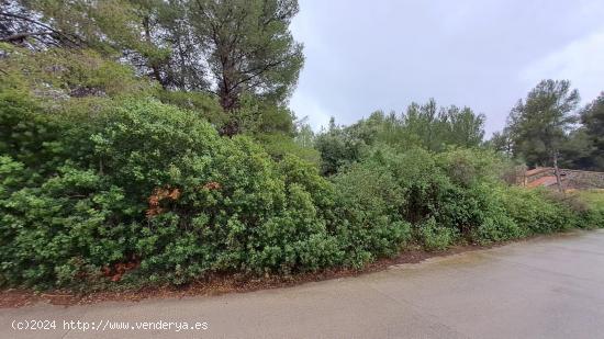 Terreno con dos construcciones - TARRAGONA