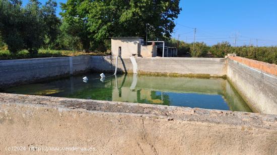 Finca rustica en venta en La Selva del Camp - TARRAGONA