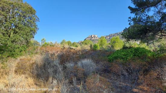 ¡ Se vende parcela en Alforja con hermosas vistas ! - TARRAGONA