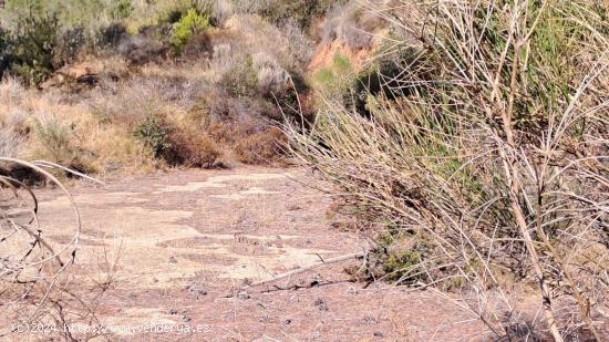 ¡ Se vende parcela en Alforja con hermosas vistas ! - TARRAGONA