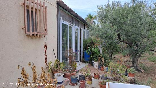  ¡ SE VENDE PARCELA EN BOTARELL  CON CASETA INCLUIDA ! - TARRAGONA 