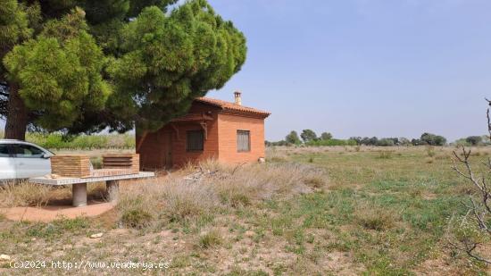 Finca rustica en Constanti - TARRAGONA