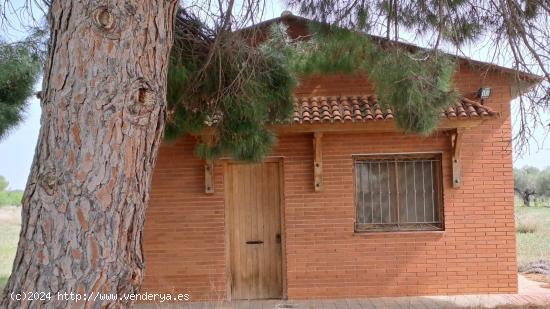 Finca rustica en Constanti - TARRAGONA