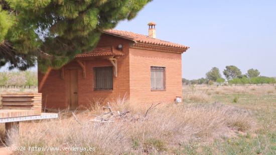 Finca rustica en Constanti - TARRAGONA